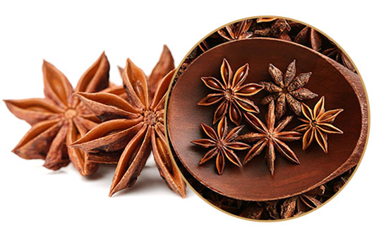 STAR ANISEED Star anise is the dried, star shaped fruit of Illicium verum. It is used to flavour vegetables, meat, and to marinate meat. It is used as a condiment for flavouring curries, confectionaries, spirits, and for pickling. It is also used in perfumery. The essential oil of star anise is used to flavour soft drinks, bakery products and liquors. The fruit is anti- bacterial, carminative, diuretic and stomachic. It is considered useful in flatulence and spasmodic