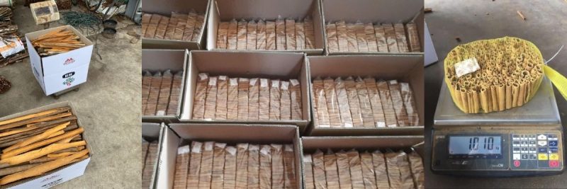 CINNAMON VIET NAM
