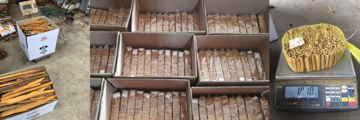 CINNAMON VIET NAM
