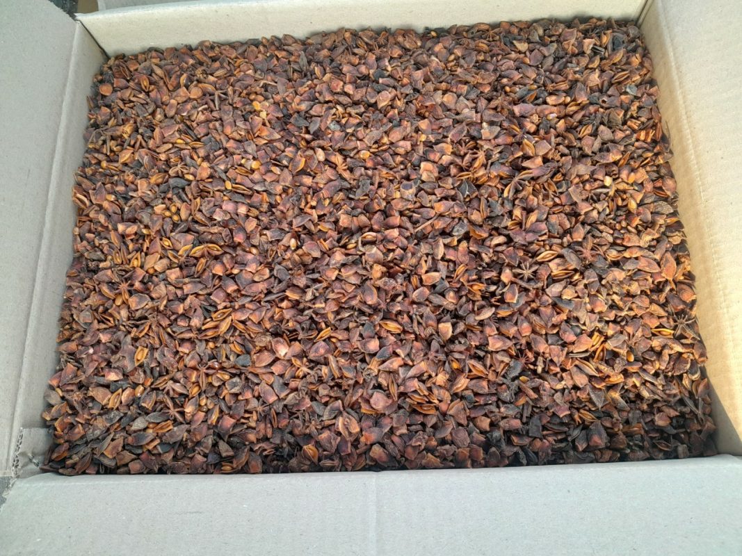 STAR-ANISE-1.1-1